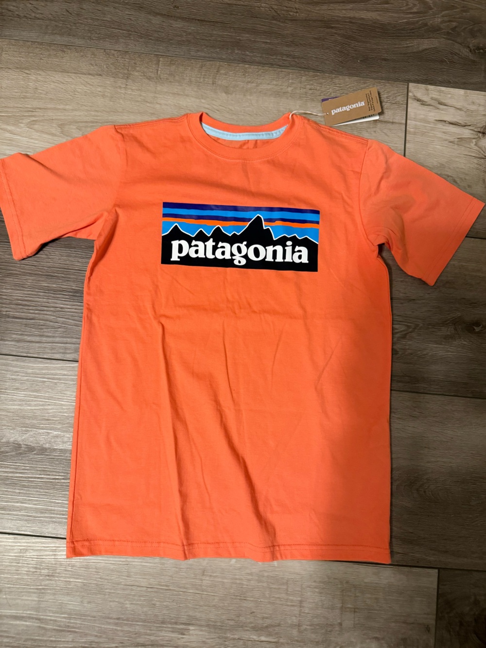 Patagonia Orange Crewneck Logo Tee
